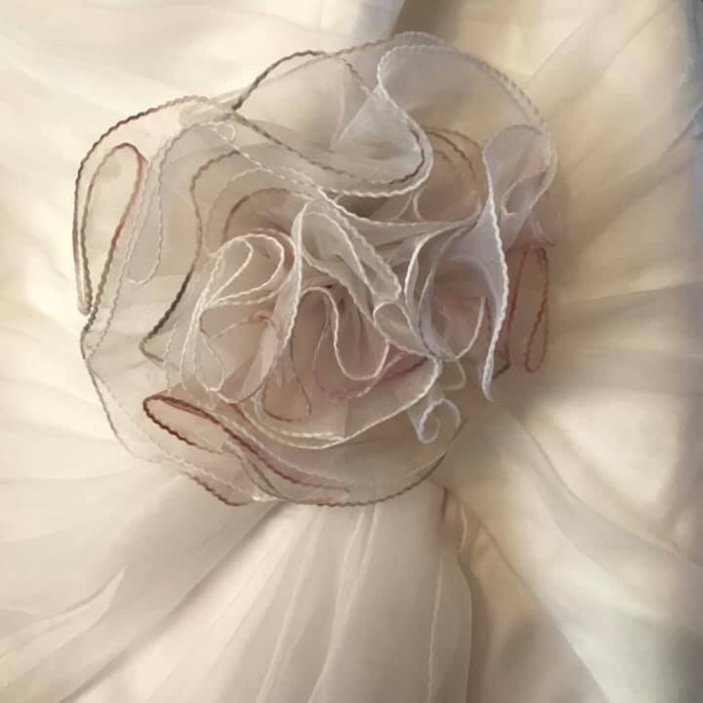 David’s Bridal wedding gown. Unaltered size 18.